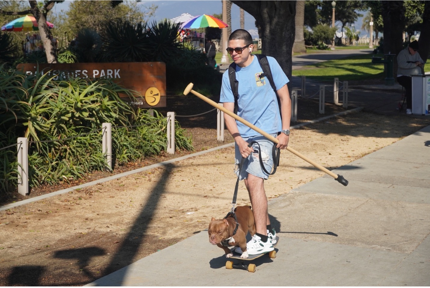 skateboarder with dog